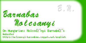 barnabas molcsanyi business card